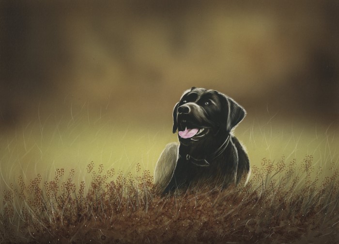 Black Labrador Retriever dog in grass painting