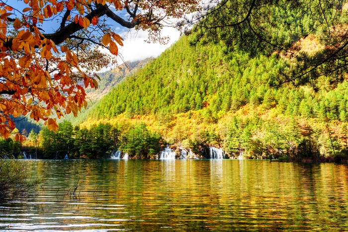 4K Jiuzhaigou Park China Autumn Waterfalls Forest