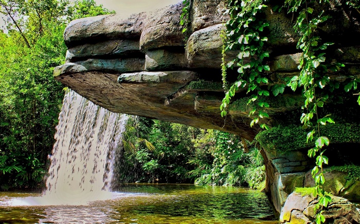 Waterfall cascading over rocks into a jungle pool