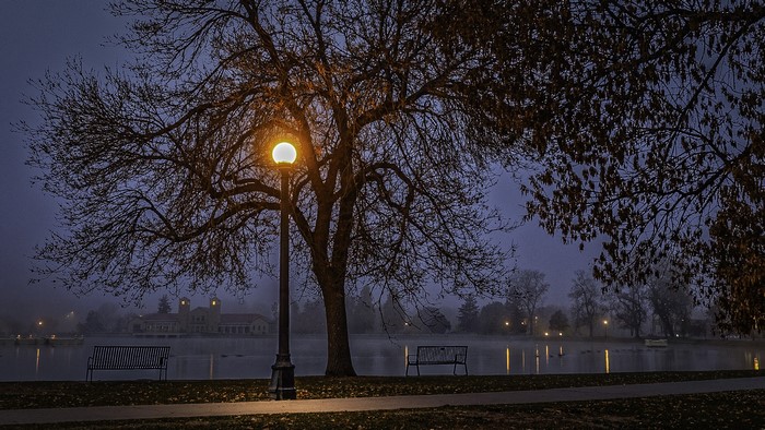 Street light and bare tree by lake at night in Denver