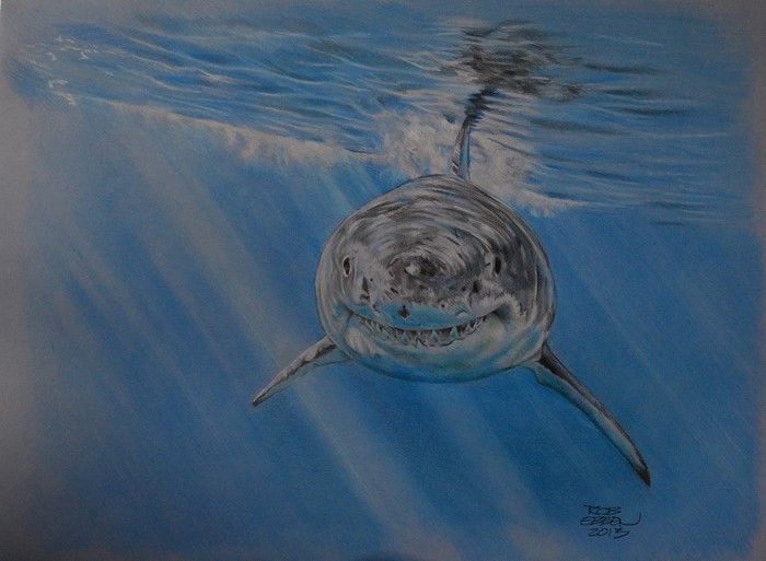 Great White Shark swimming underwater painting