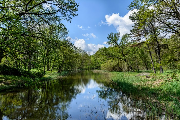 River and trees in Trostianets, Ukraine