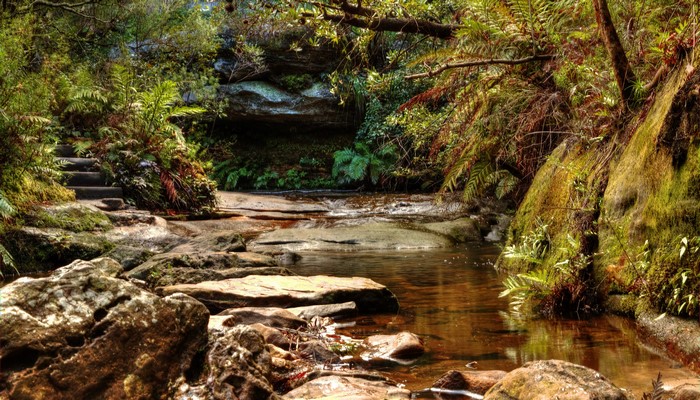Stream flowing over rocks in Wentworth Falls, Australia