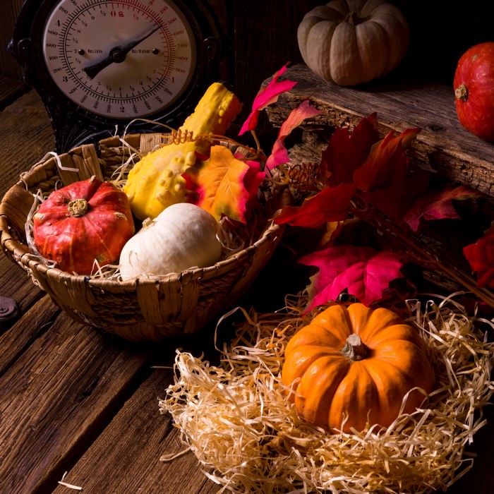 Autumn pumpkins and gourds in a basket