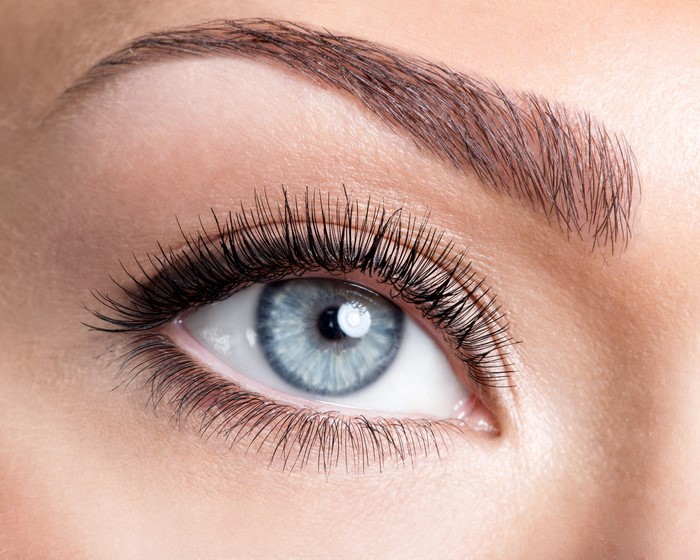 Close-up of a blue eye with long eyelashes and eyebrow
