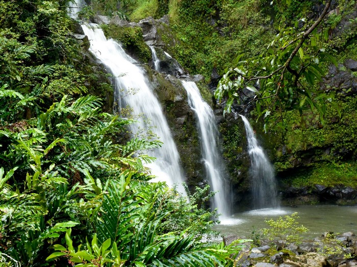 Waterfalls in Hawaii with Moss and Branches