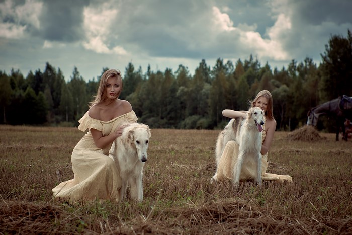 Two blonde girls with Borzoi dogs in a field