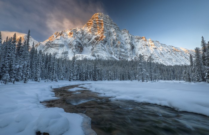 Snowy mountain range with a frozen stream and pine forest