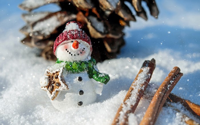 4K Christmas Snowman with Pinecone and Cinnamon Sticks