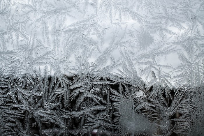 Frost patterns on glass