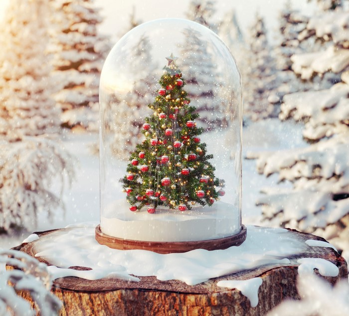Christmas tree inside a snow globe on a stump