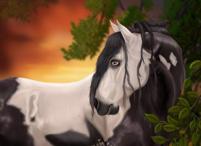 A painted horse in a forest at sunset
