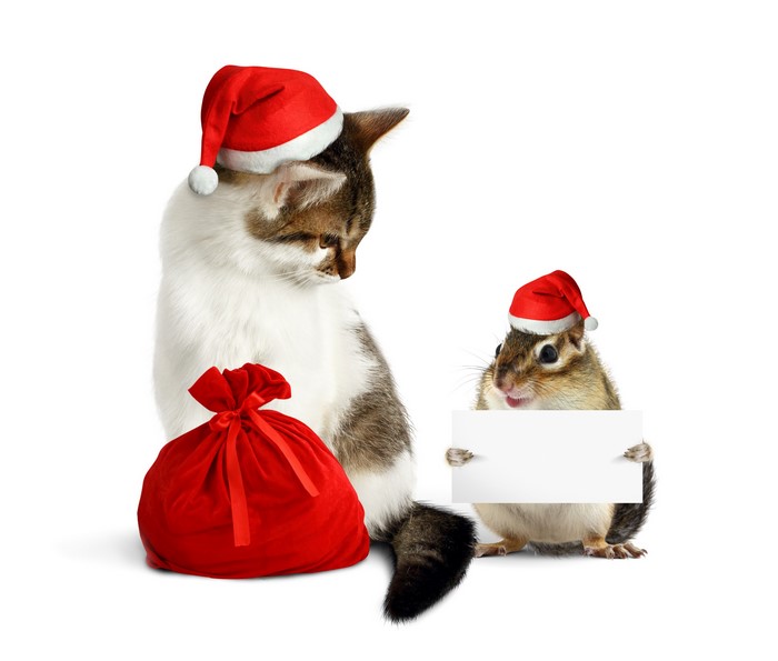 Cat and chipmunk with Santa hats and gifts