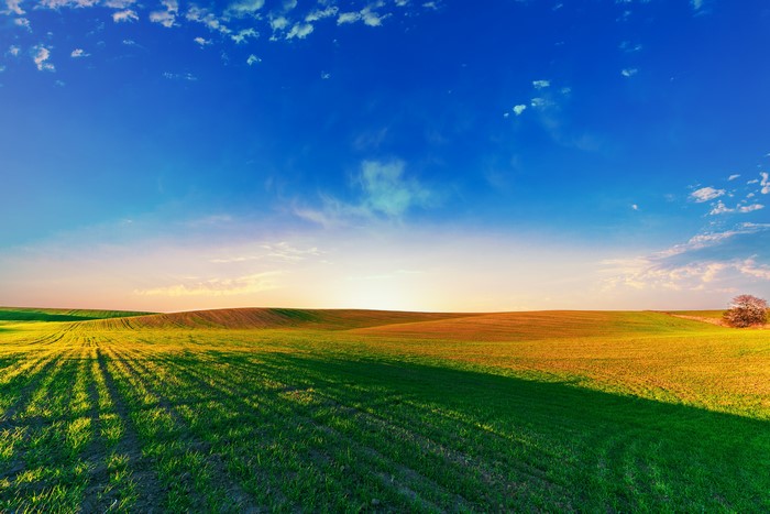 Fields and Sky at Sunset