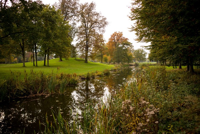 Autumn scene with a river and trees in Brummen, Netherlands