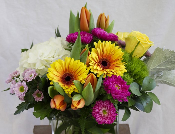 Bouquet of Gerbera Daisies, Tulips, and Hydrangeas