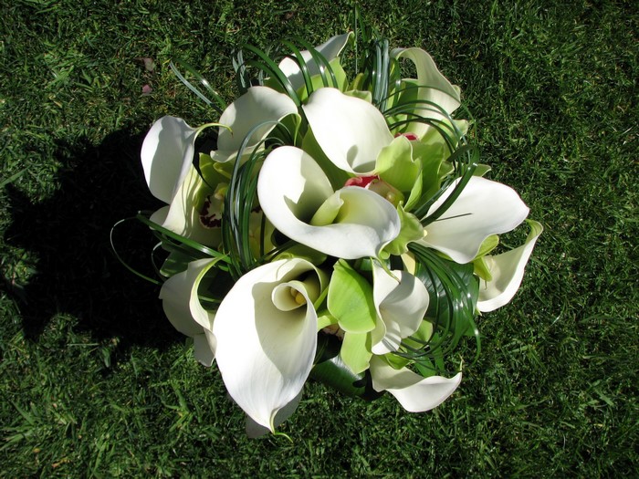 White Calla Lily and Green Orchid Bouquet on Grass