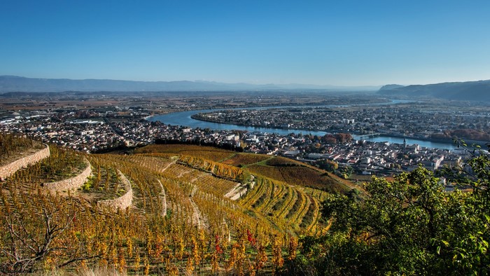 Vineyards overlooking Tain-l'Hermitage and the Rhone River in France