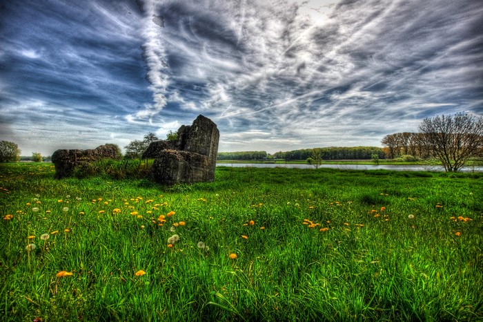 Ruins in a field of dandelions under a cloudy sky