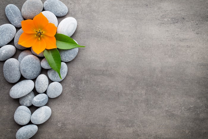 Orange flower and stones on a grey background