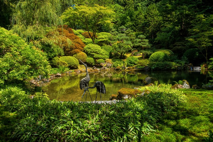 Japanese Garden Portland Pond with Crane Sculptures