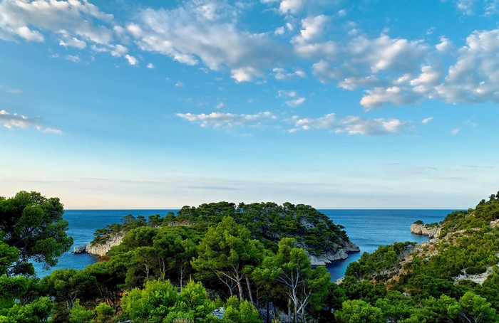 Calanque Port Miou, France: Coastline with Trees and Clouds