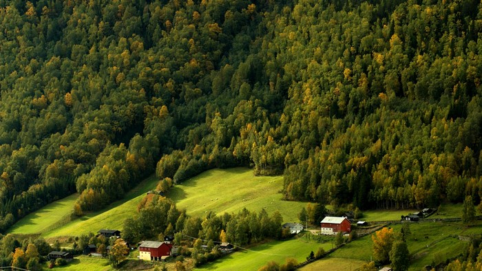 Houses nestled in a Norwegian forest and grasslands