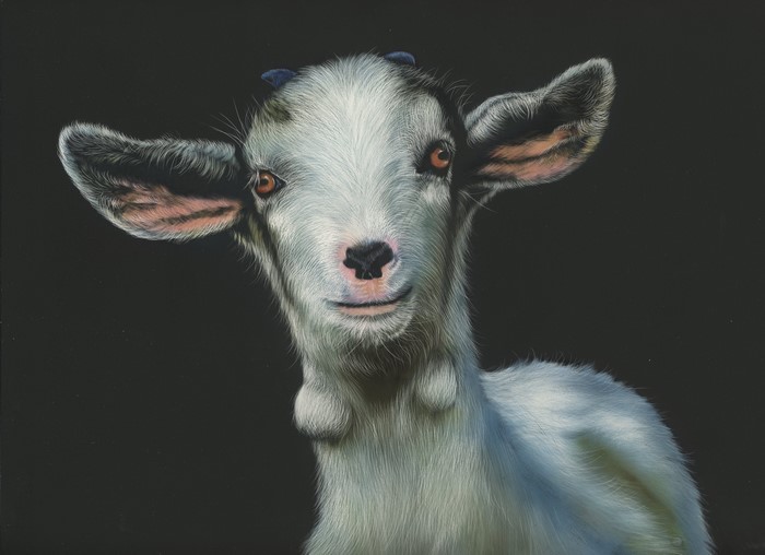Painting of a young goat on a black background
