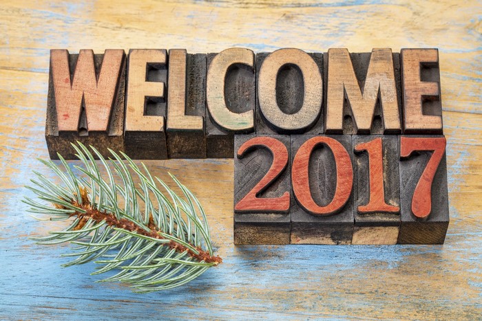 Welcome 2017 with pine branch