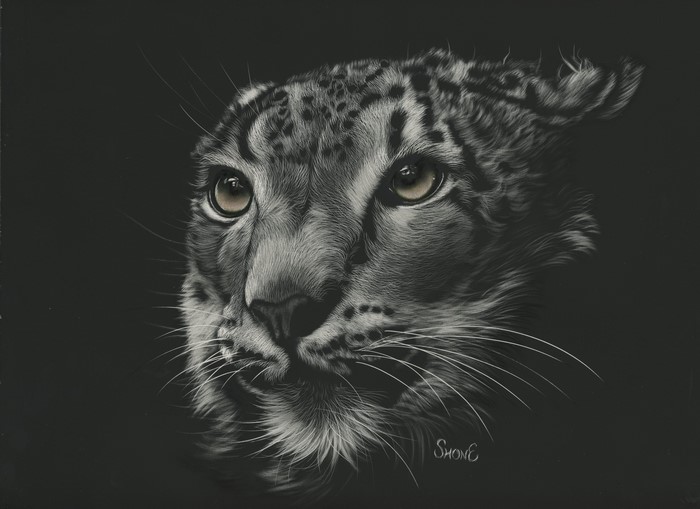 Painting of a Snow Leopard's Face