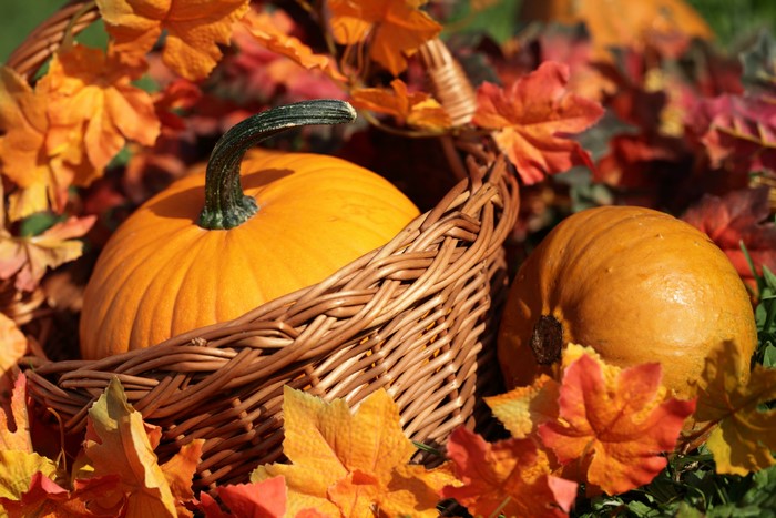 Pumpkins in a Wicker Basket with Autumn Leaves