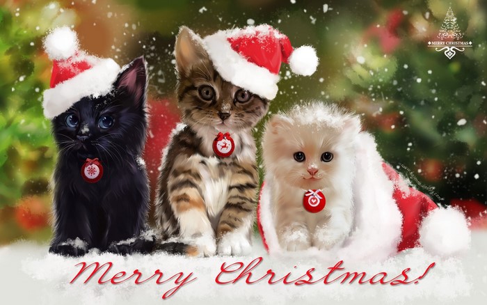 Three Kittens in Santa Hats with Christmas Decorations