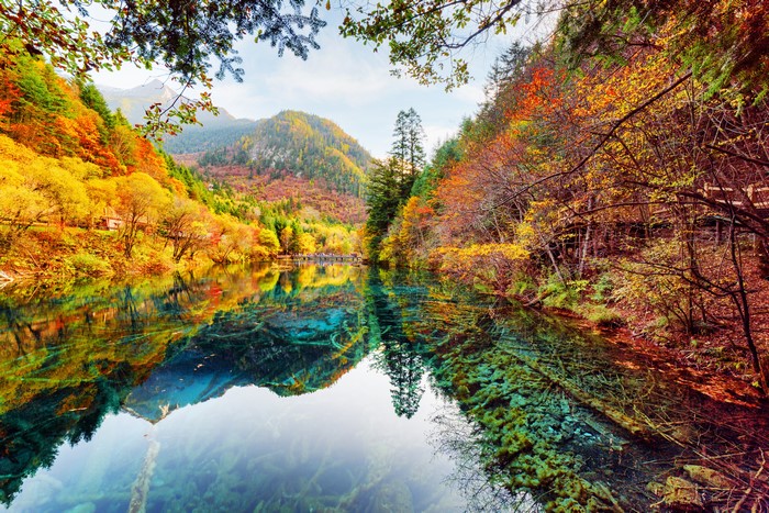 4K Jiuzhaigou Park China Autumn Rivers Forests Scenery