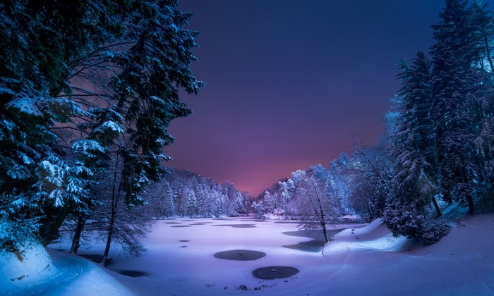 Snowy forest with frozen lake at twilight