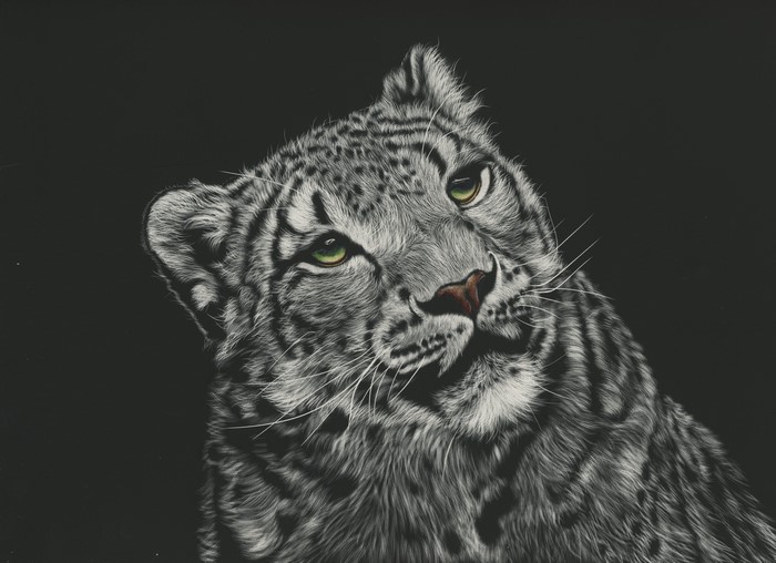 Painting of a Snow Leopard's Head on Black Background