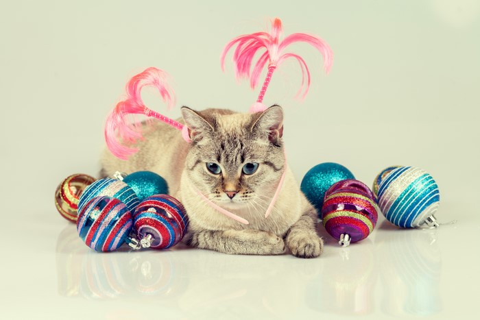 Cat with Christmas ornaments and pink headband