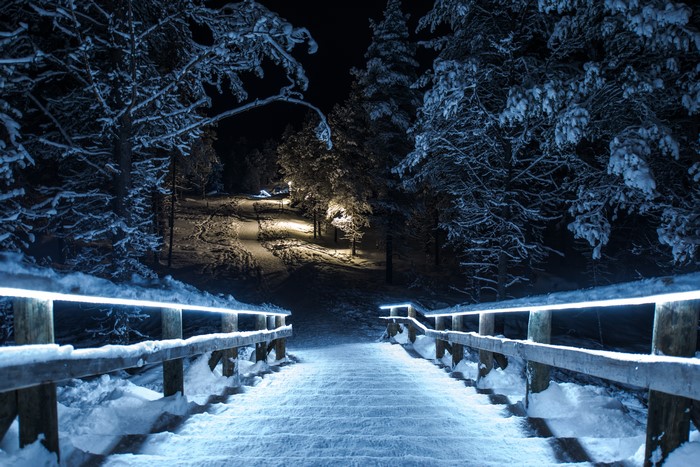 Snowy stairs in a park at night