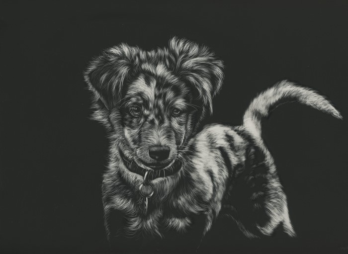 Black and white painting of a puppy with a collar