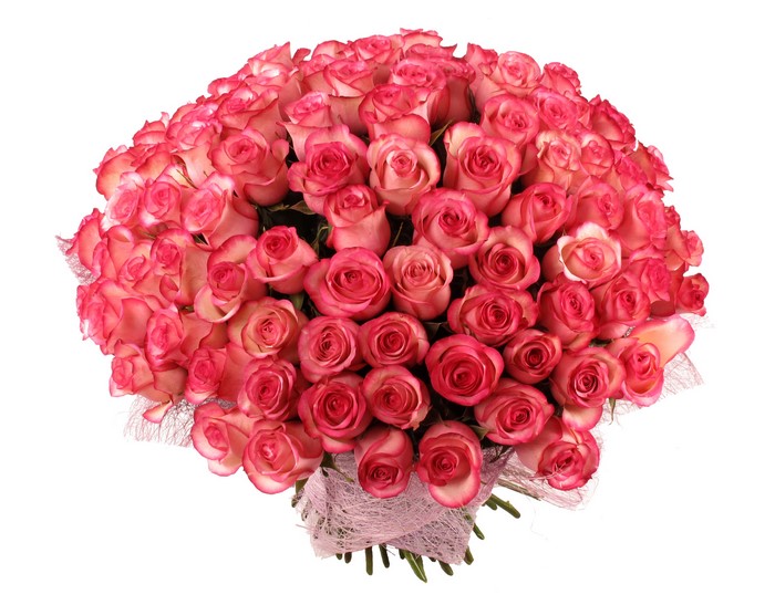 Bouquet of pink and white roses