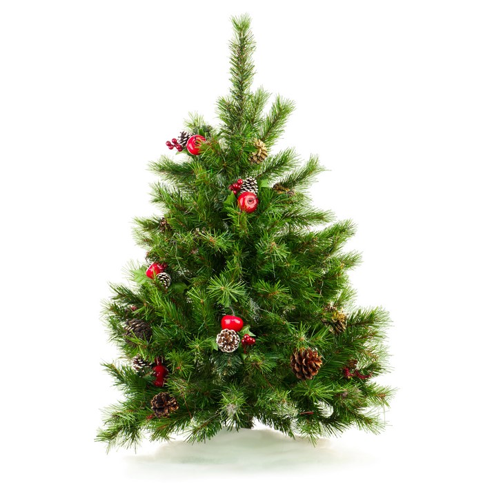Christmas tree with pine cones and red balls