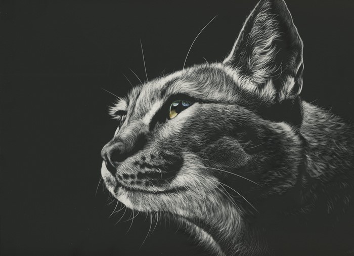Black and white painting of a cat's face