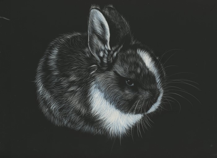 Black and white painting of a rabbit