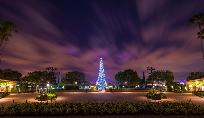 Christmas tree at night in Disneyland, California