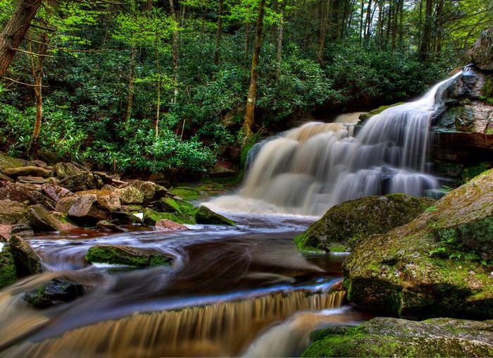 4K Elakala Falls Waterfall in Blackwater Falls State Park