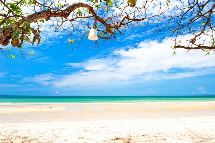 Beach scene with tree branches and blue sky