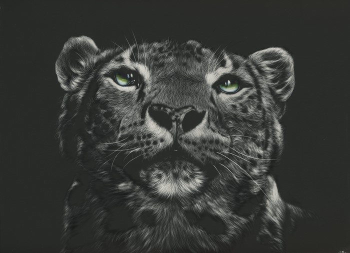 Painting of a snow leopard's head