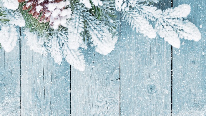 Snow-covered pine branches and pine cone on wood planks