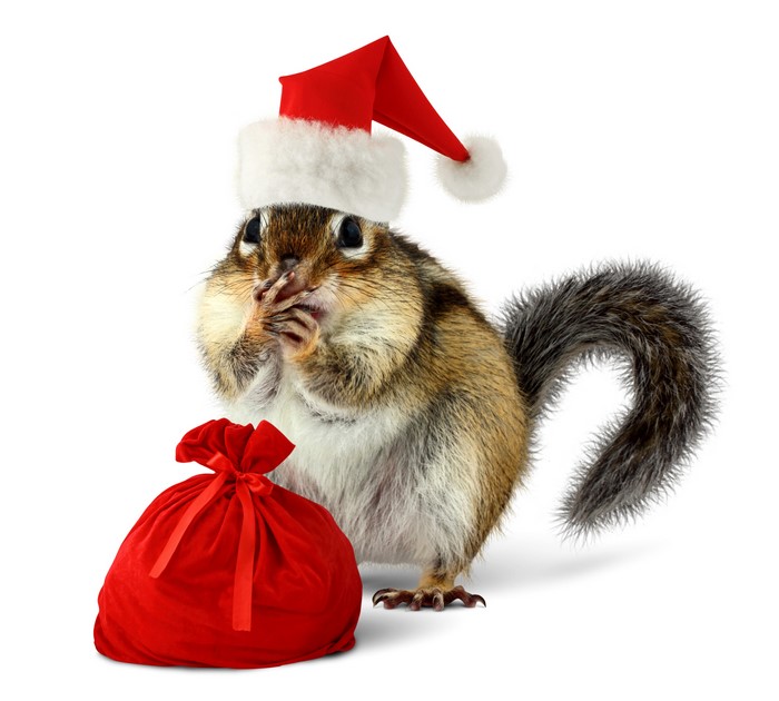 Chipmunk wearing a Santa hat with a gift bag
