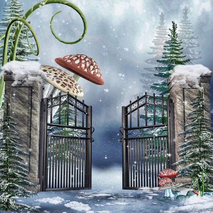 Winter gate with mushrooms and snow