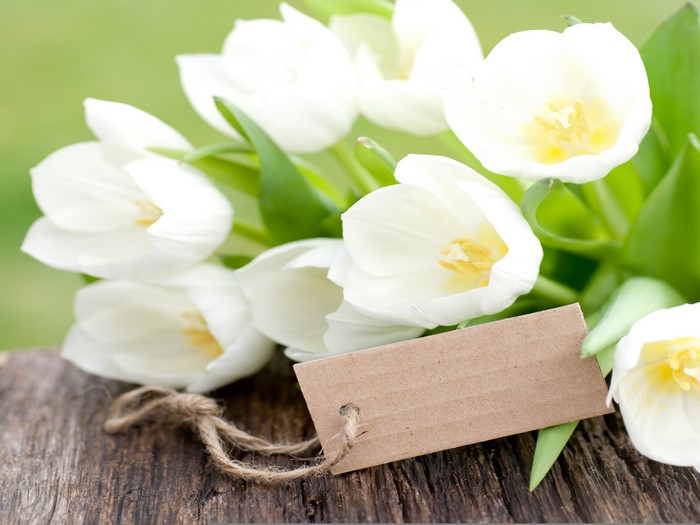 White Tulips with a Card and Twine